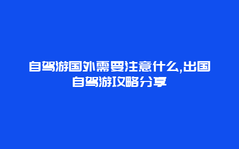 自驾游国外需要注意什么,出国自驾游攻略分享