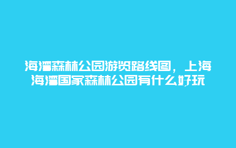 海湾森林公园游览路线图，上海海湾国家森林公园有什么好玩