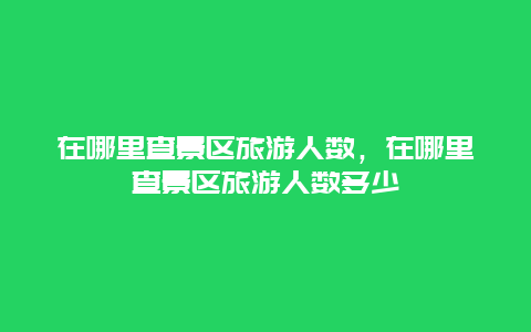 在哪里查景区旅游人数，在哪里查景区旅游人数多少