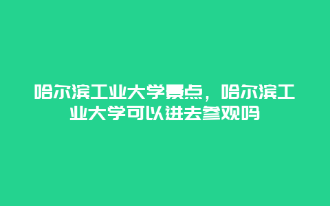 哈尔滨工业大学景点，哈尔滨工业大学可以进去参观吗