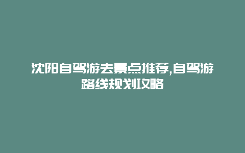 沈阳自驾游去景点推荐,自驾游路线规划攻略