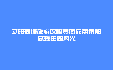 夕阳荷塘旅游攻略赏荷品茶乘船感受田园风光