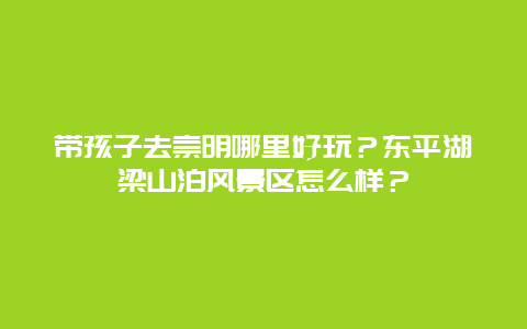 带孩子去崇明哪里好玩？东平湖梁山泊风景区怎么样？