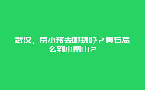 武汉，带小孩去哪玩好？黄石怎么到小雷山？